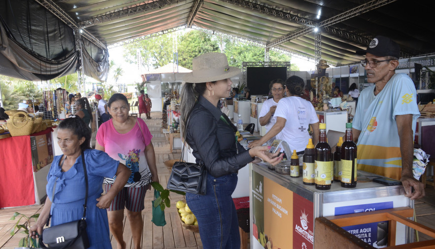 Exposição das agroextrativistas e produtos da agricultura familiar ganha destaque na Agrotins 2024