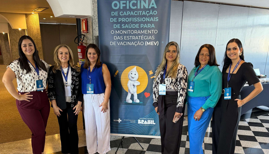 Tocantins participa de oficina sobre monitoramento das estratégias de vacinação