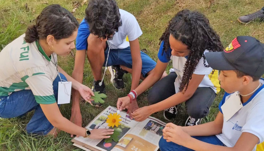 Estudantes de Ananás promovem trabalhos que reforçam a importância do bioma do cerrado tocantinense