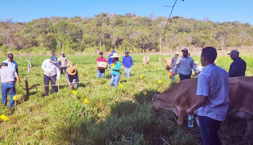 Com apoio do Governo do Tocantins, assistentes de produtores rurais recebem curso de manejo da irrigação e tratamento de dados para o uso sustentável dos recursos hídricos