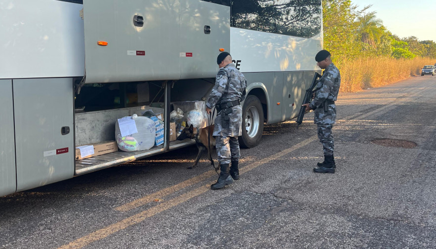 Polícia Militar realiza Operação Nárke 2 para combater o narcotráfico nas rodovias estaduais