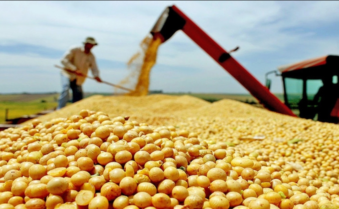 O Agronegócio e o Crescimento do Tocantins: Uma História de Expansão e Oportunidades